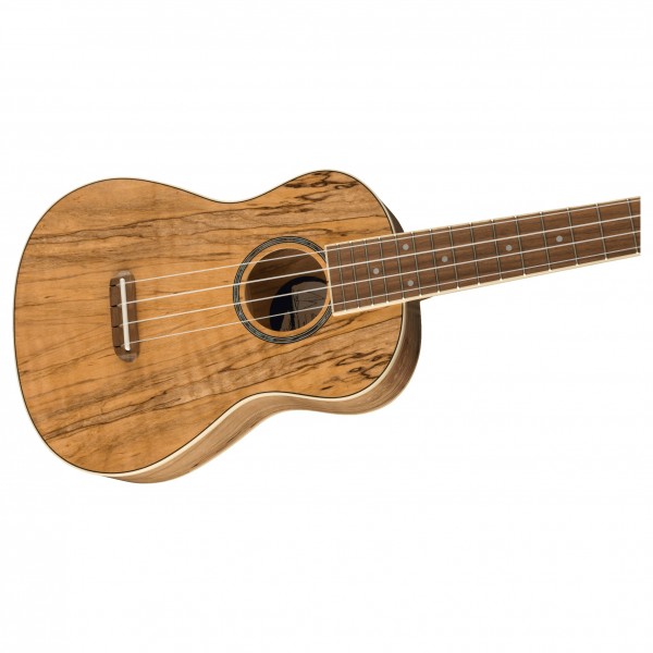 Đàn Ukulele Fender Zuma Exotic Concert, Natural Spalted Maple