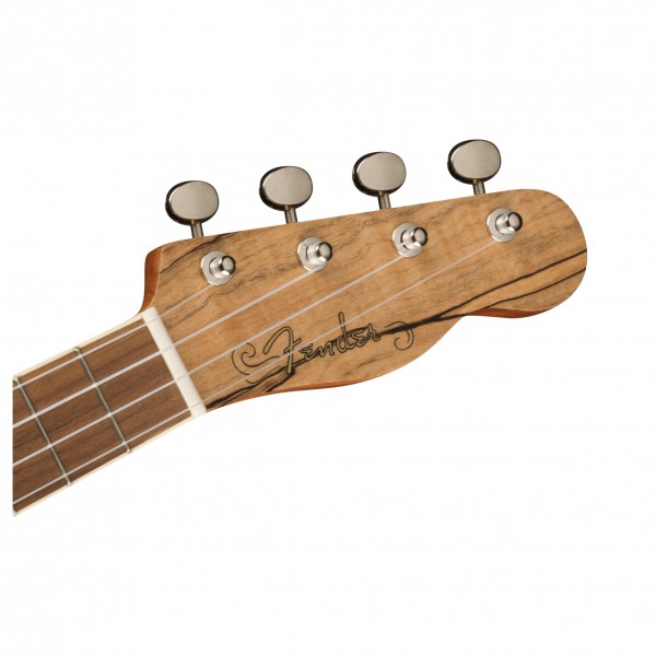 Đàn Ukulele Fender Zuma Exotic Concert, Natural Spalted Maple