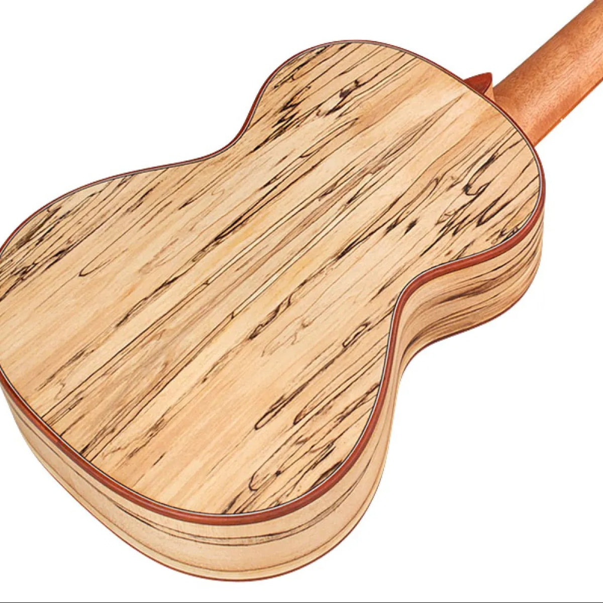 Đàn Ukulele Tenor Cordoba 24T Spruce
