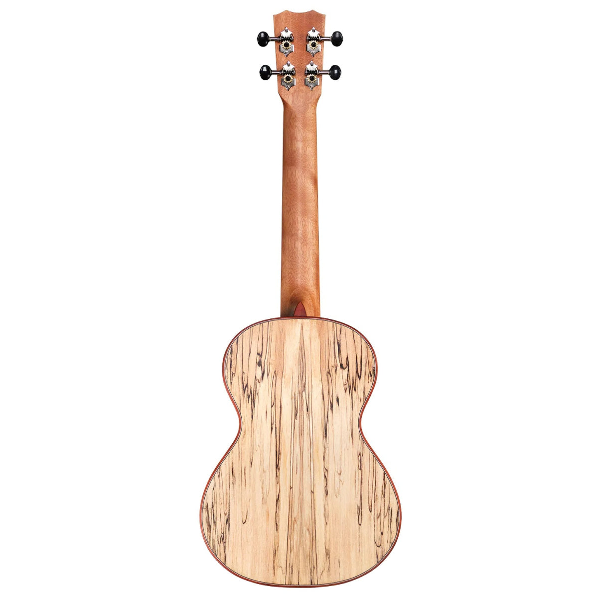 Đàn Ukulele Tenor Cordoba 24T Spruce