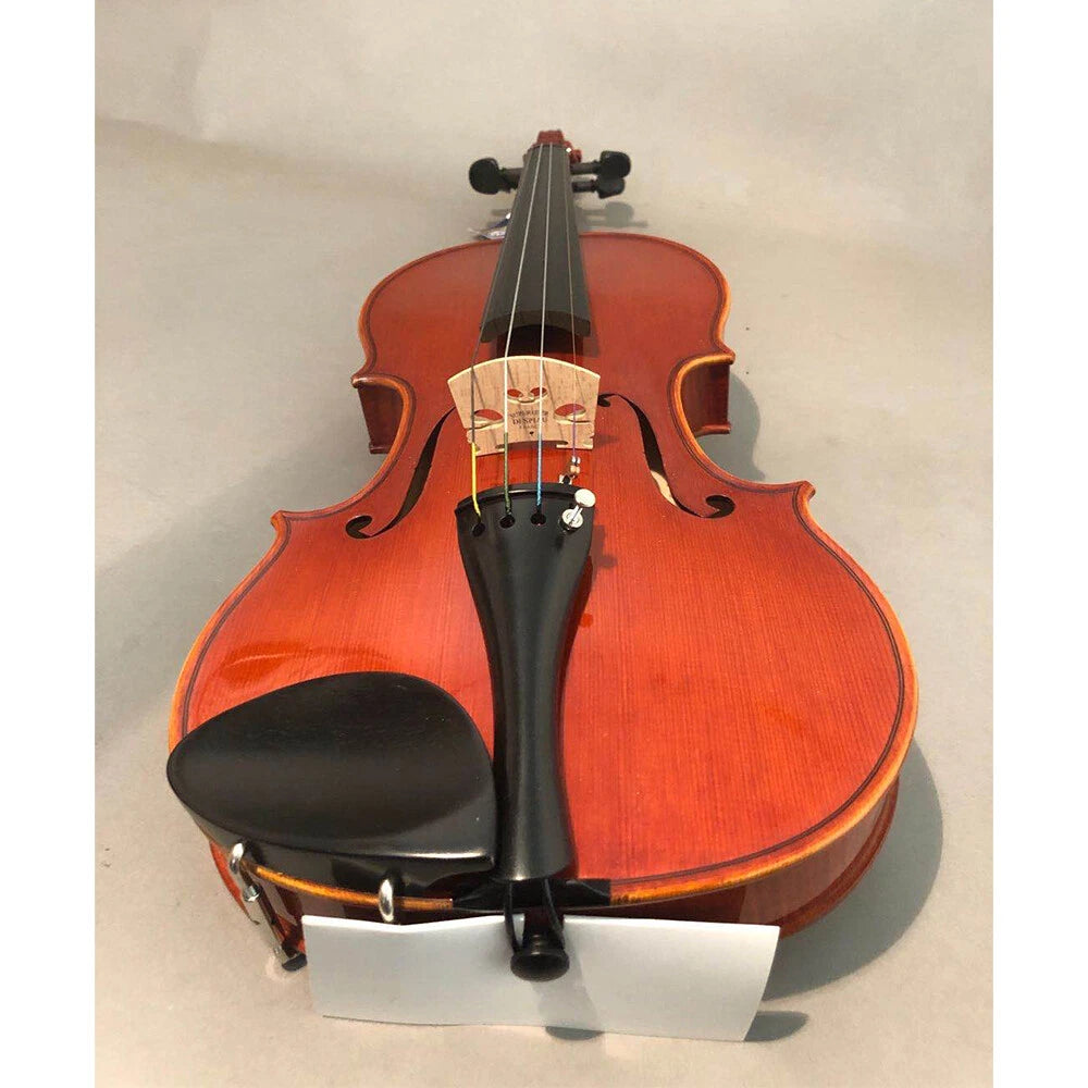 Đàn Violin Suzuki No. 540