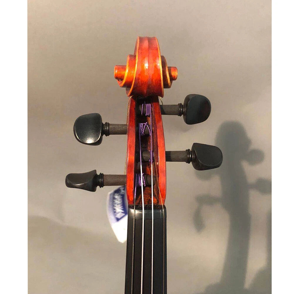 Đàn Violin Suzuki No. 540