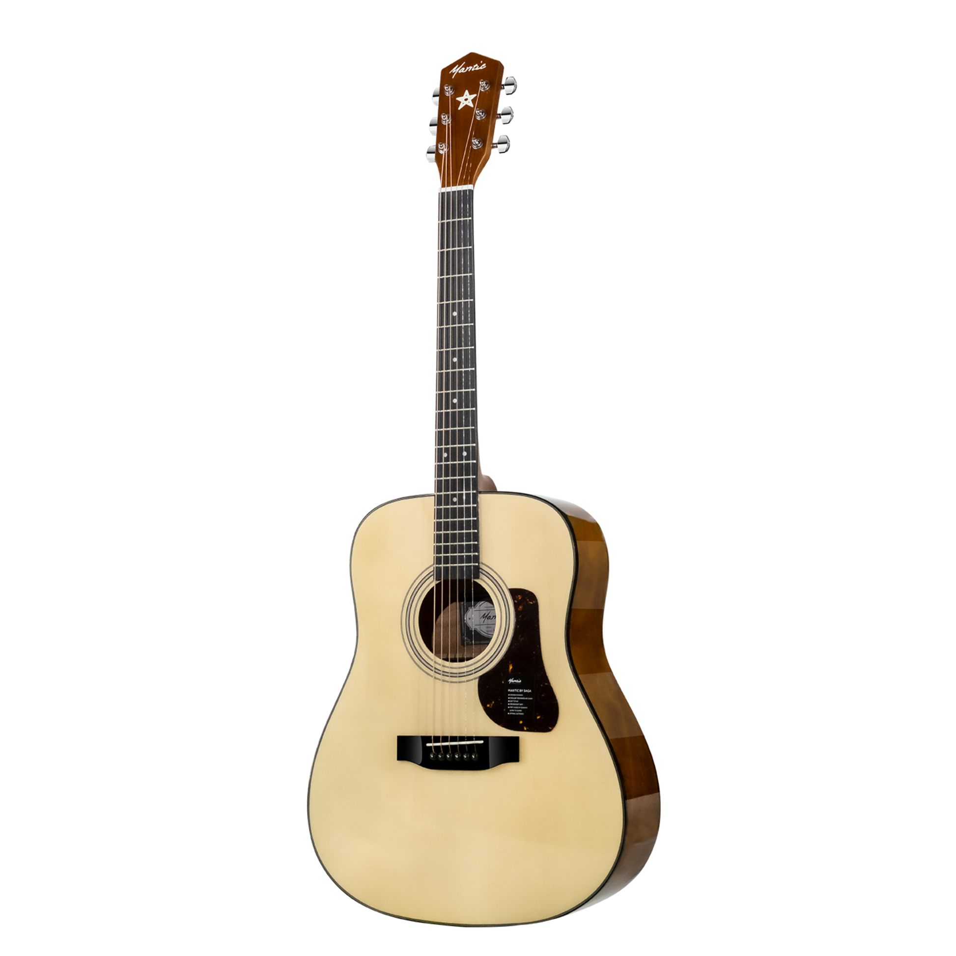 Đàn Guitar Acoustic Mantic GT310D