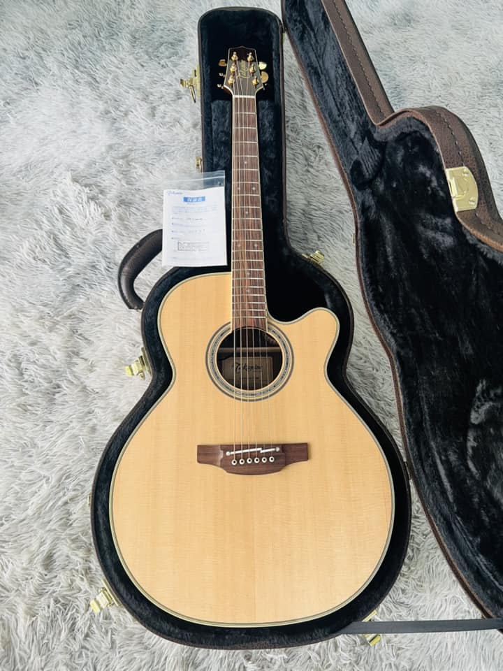 Đàn Guitar Acoustic Takamine 500 CUSTOM