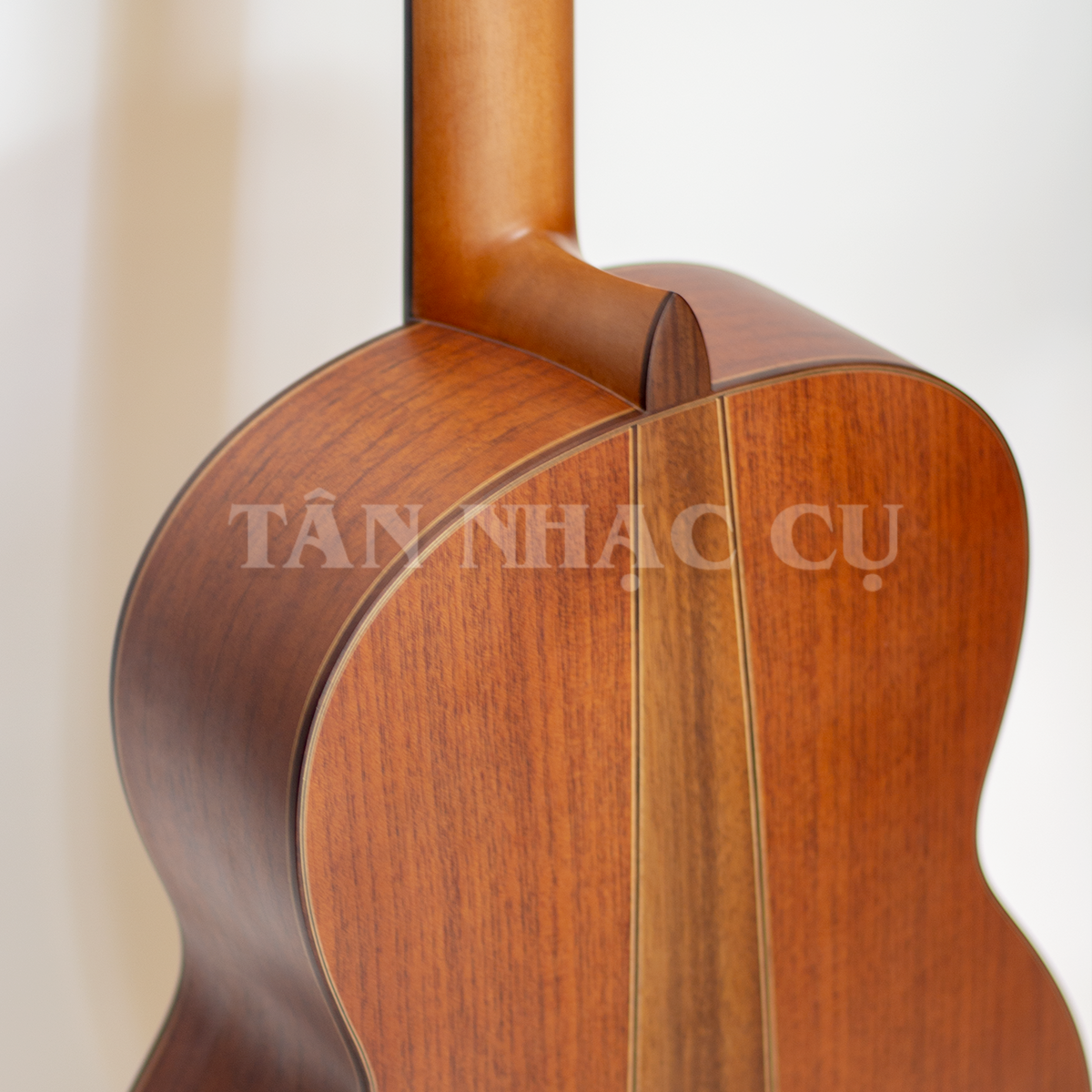Ba Đờn C300