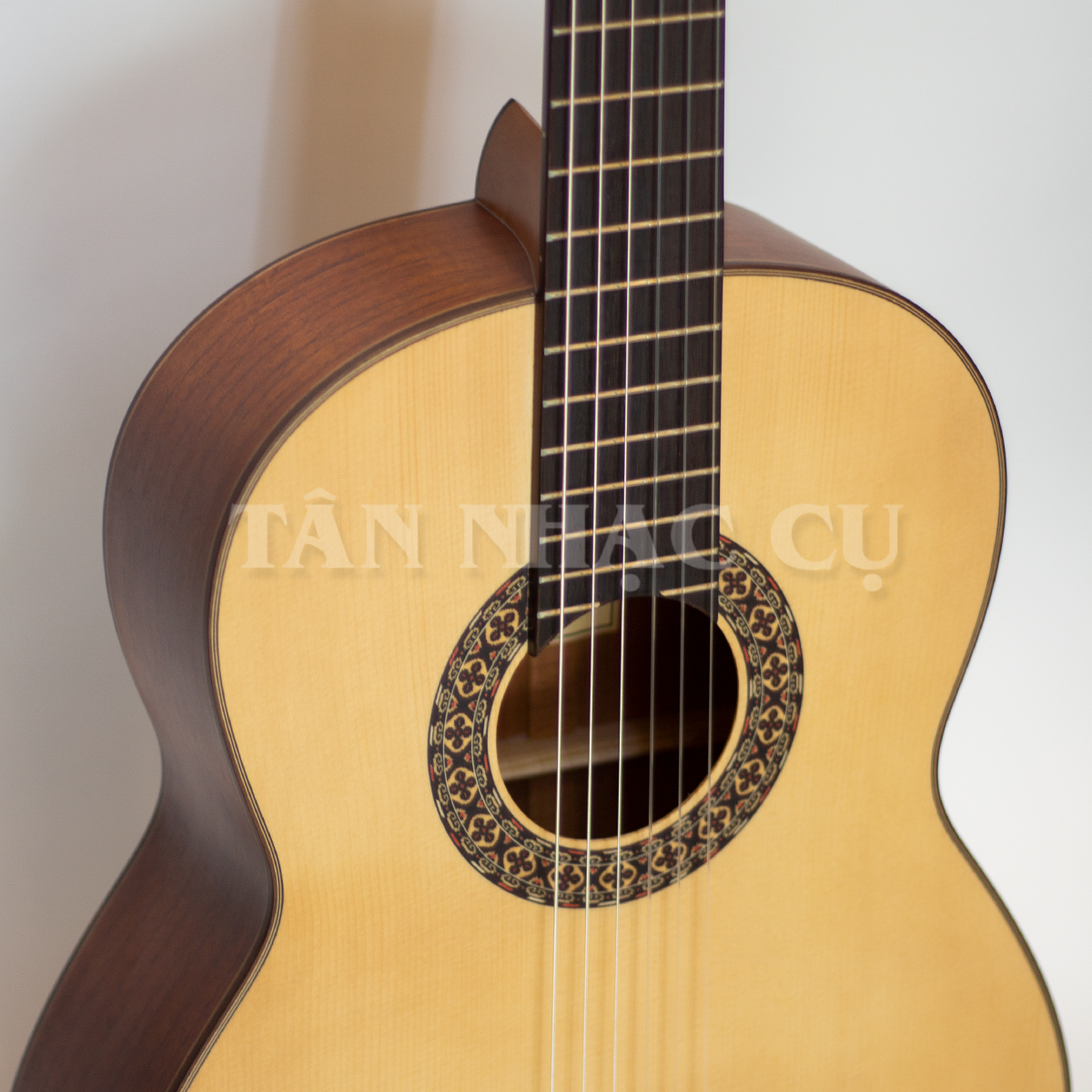 Ba Đờn C300