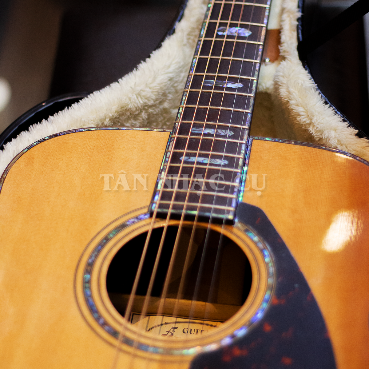 Đàn Guitar Ba Đờn D1500 Acoustic