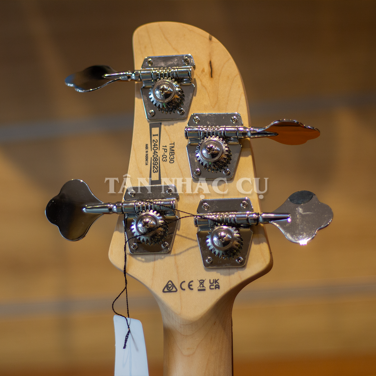 Đàn Guitar Bass Ibanez TMB30