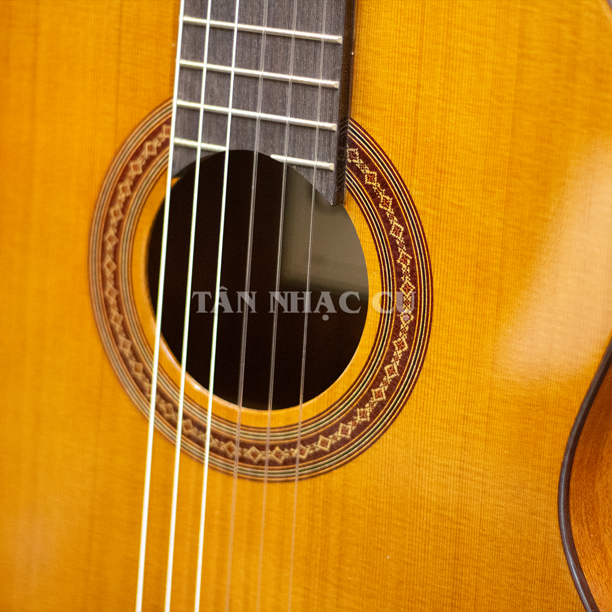 Đàn Guitar Classic Cordoba Dolce