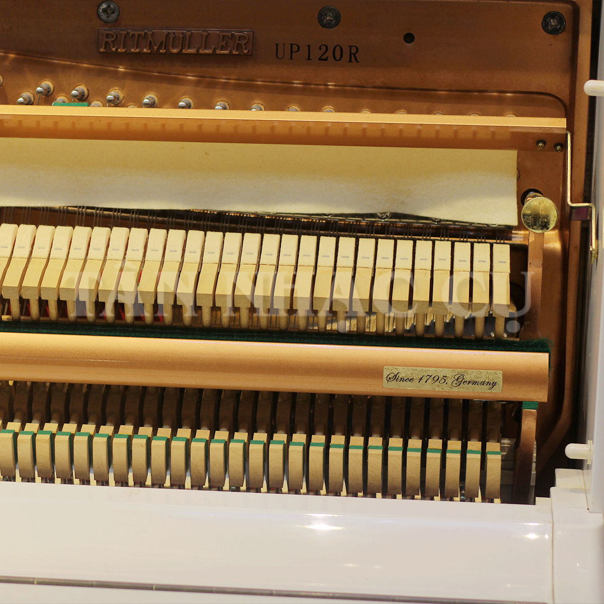 Đàn Piano Cơ Upright Ritmülle U120R 