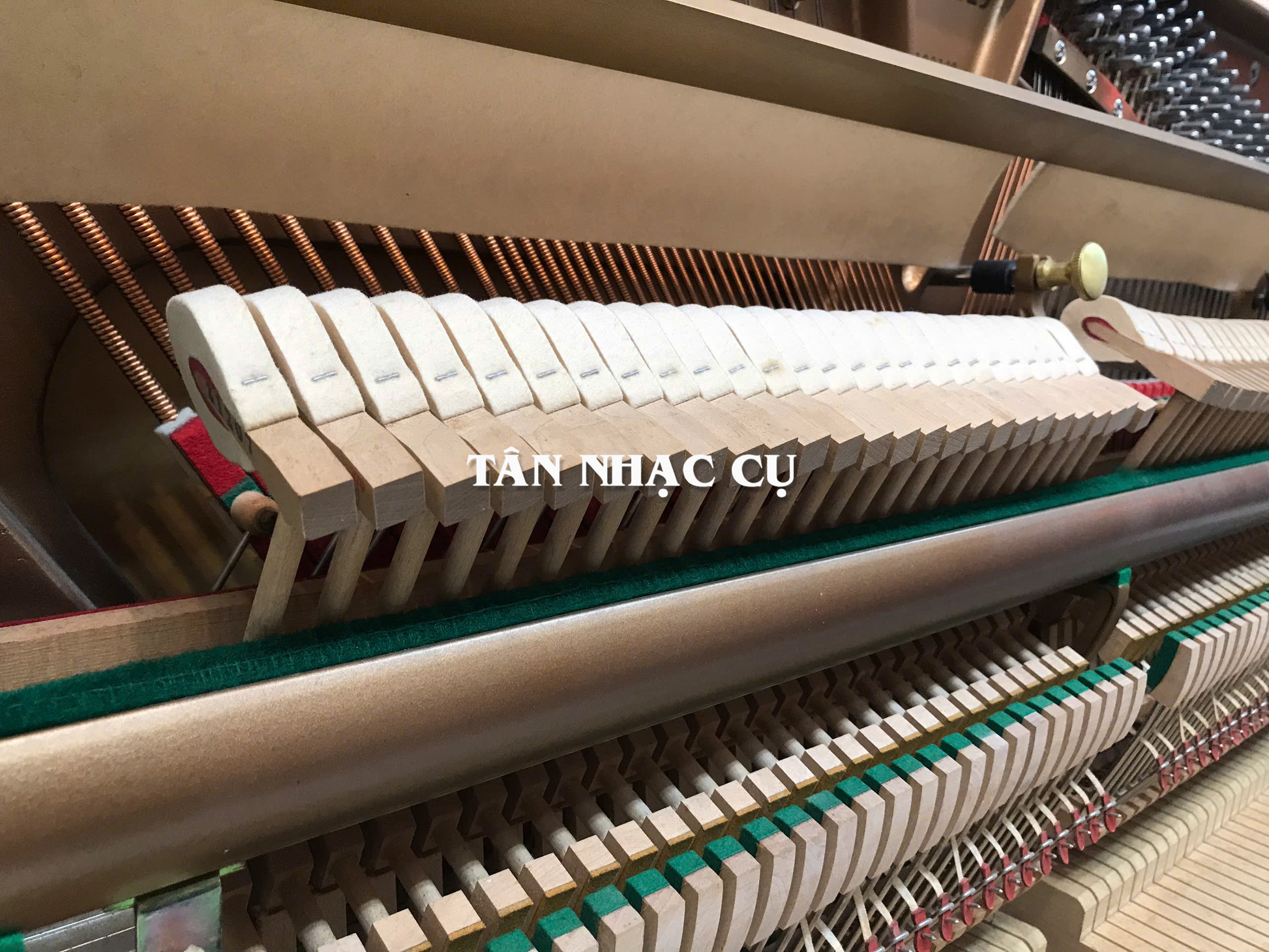 Đàn Piano Cơ Upright Essex EUP123E, Polish White