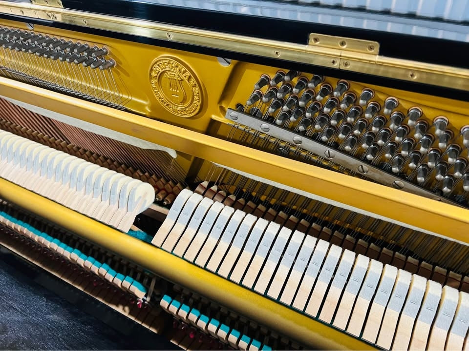Đàn Piano Cơ Upright Eterna E10D