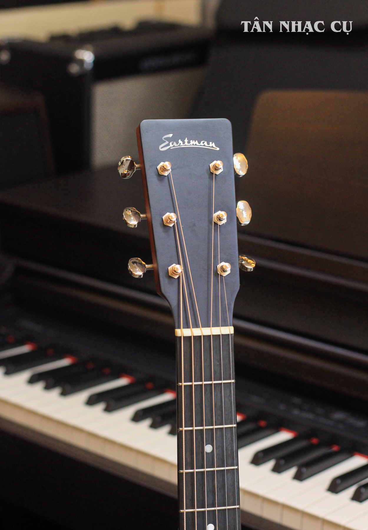 Đàn Guitar Acoustic Eastman Traditional Series E1D, Classic - Tân Nhạc Cụ