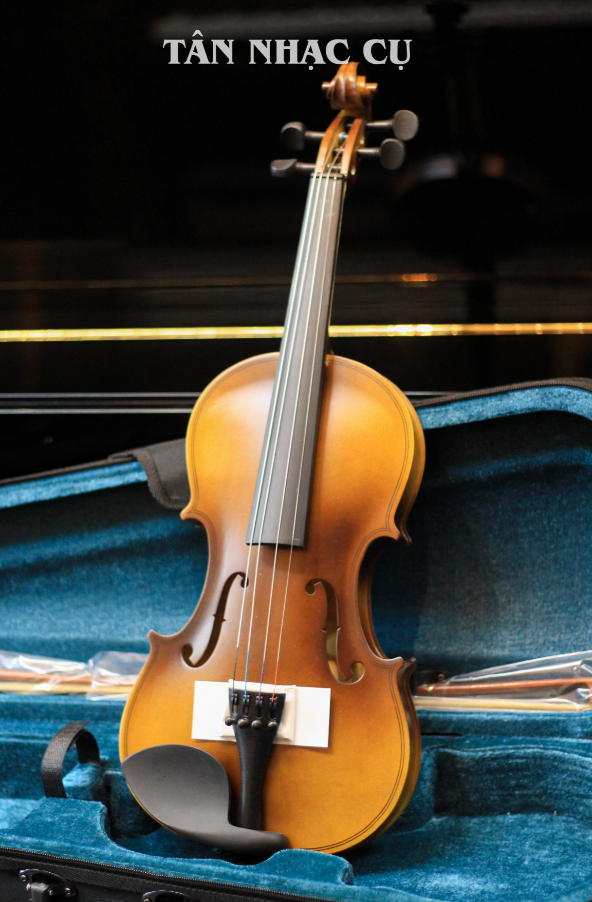 Đàn Violin Artist ATX1 Natural Flame