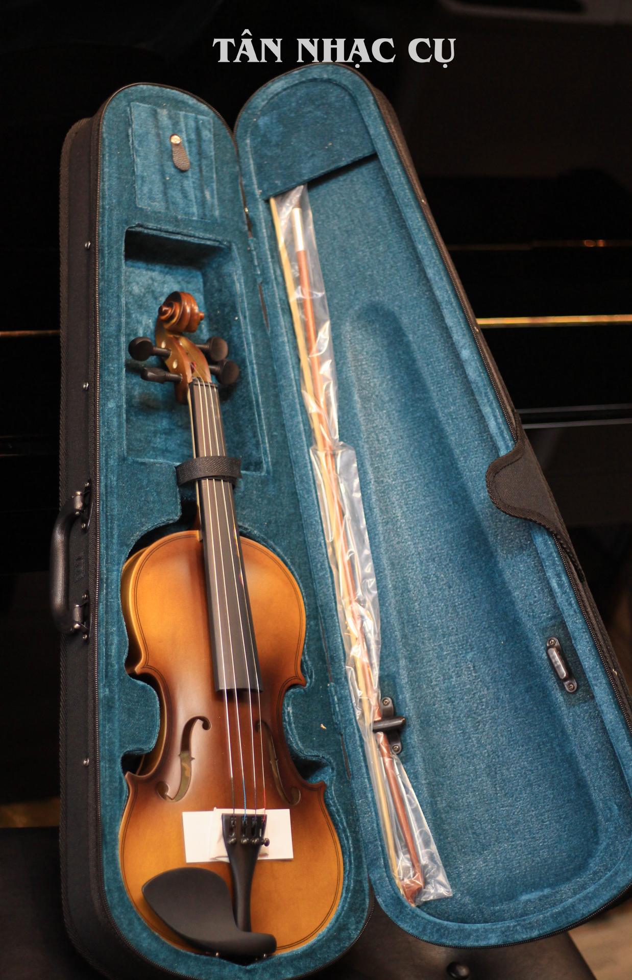 Đàn Violin Artist ATX1 Natural Flame