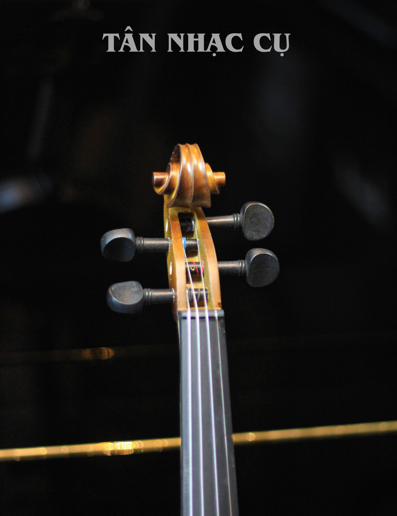 Đàn Violin Artist ATX1 Natural Flame