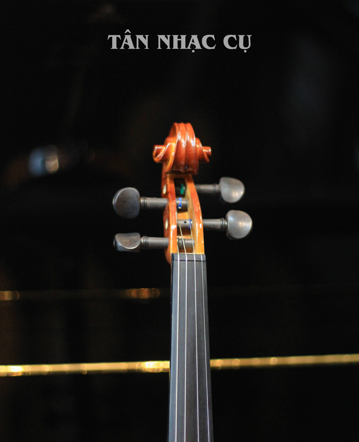 Đàn Violin Artist ATX2 Natural Flame