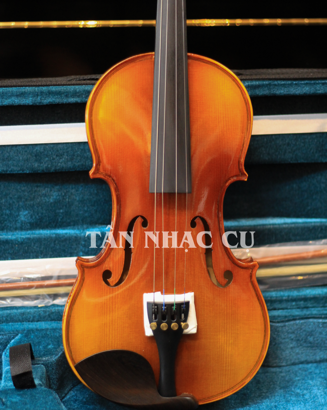 Đàn Violin Artist ATX2 Natural Flame