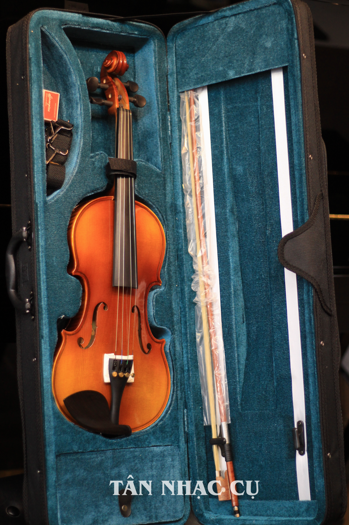 Đàn Violin Artist ATX2 Natural Flame