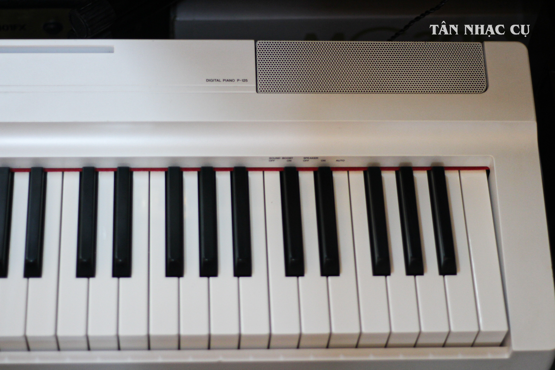 Đàn Piano Điện Yamaha P125