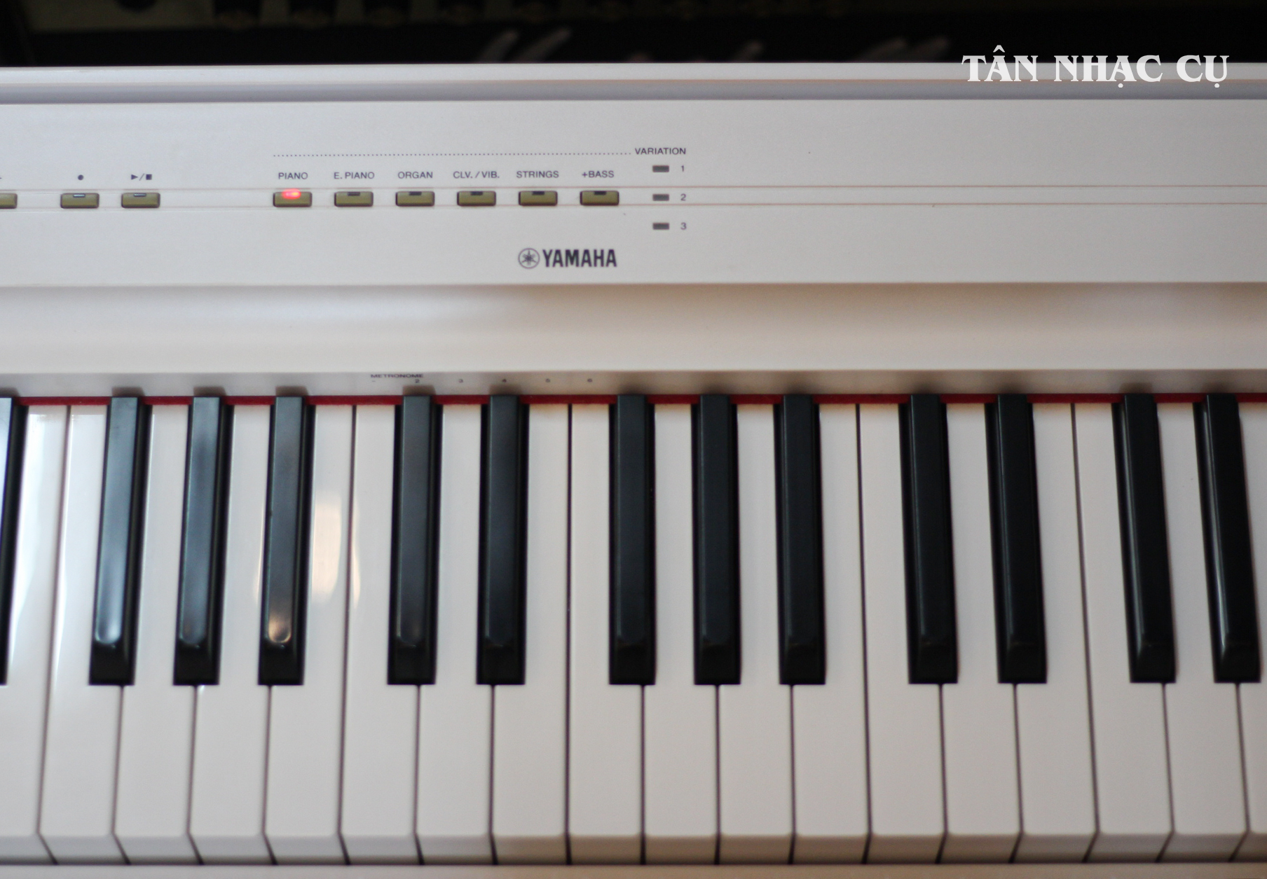 Đàn Piano Điện Yamaha P125