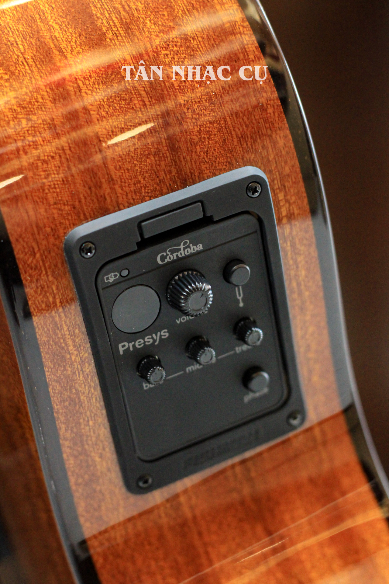 Đàn Guitar Classic Cordoba Fusion 12 Natural CD Cedar