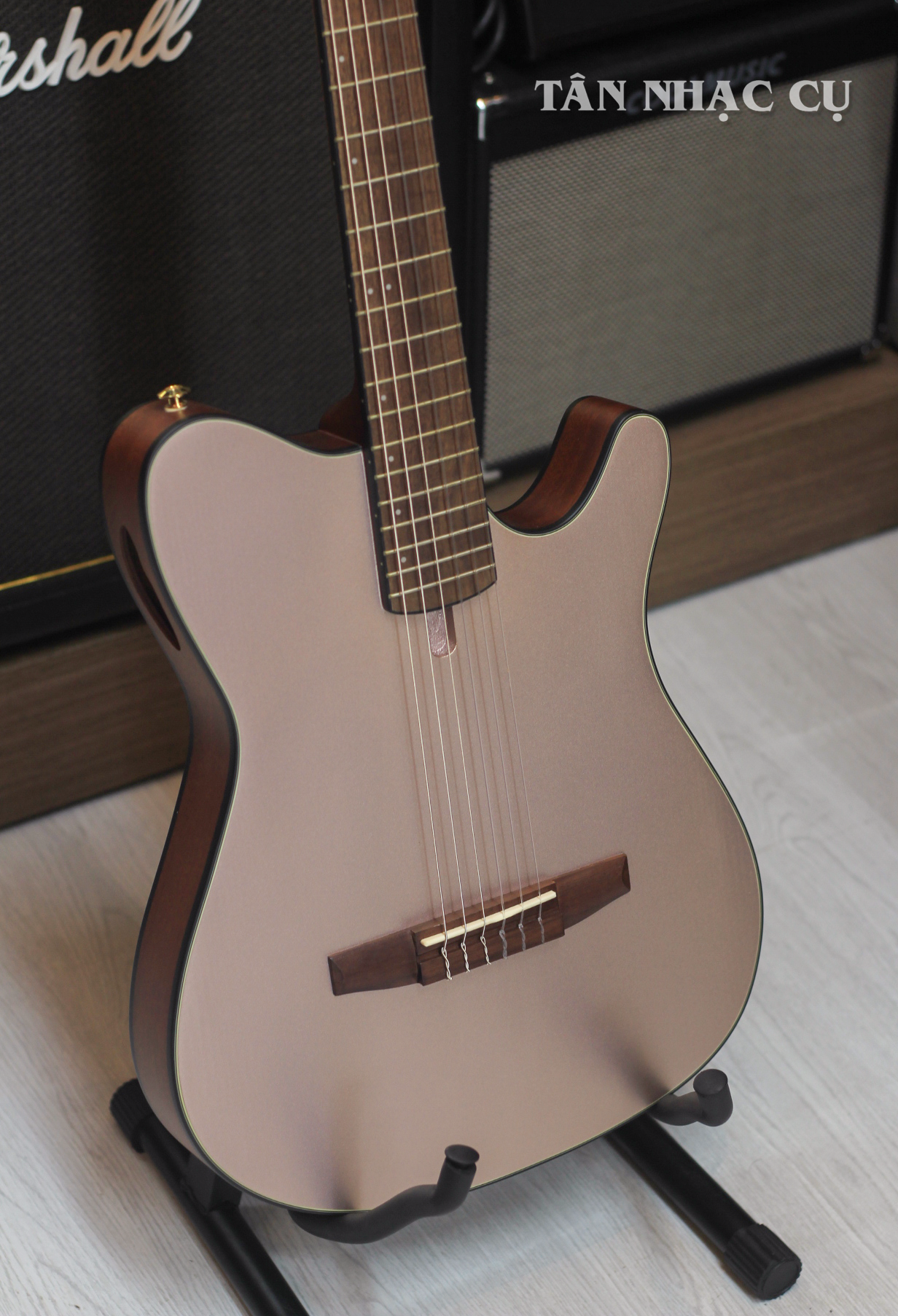 Đàn Guitar Acoustic Ibanez FRH10N, Rose Gold Metallic Flat