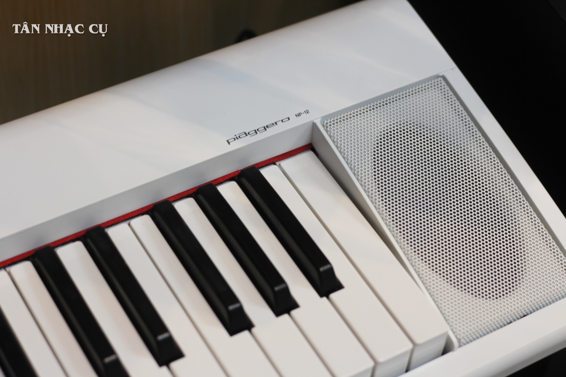 Đàn Piano Điện Yamaha NP12