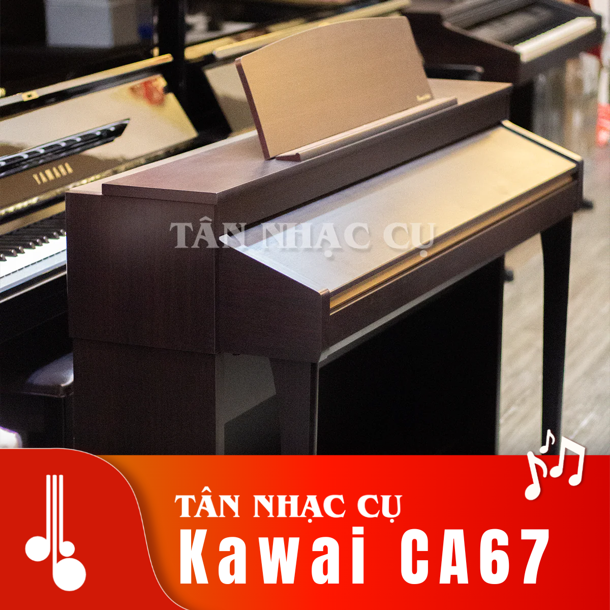 Kawai CA67