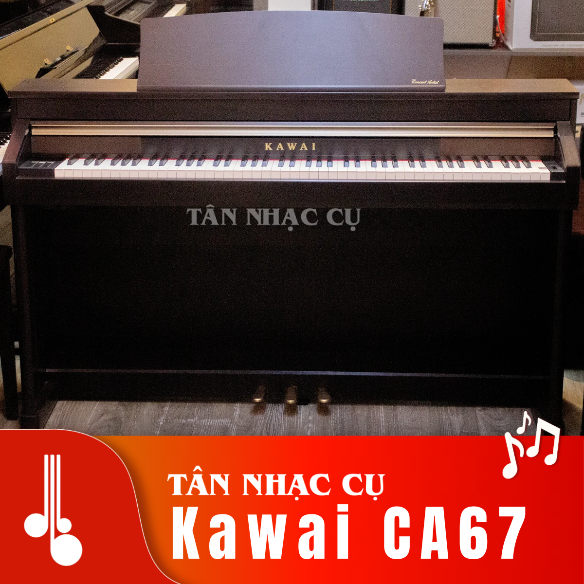 Kawai CA67