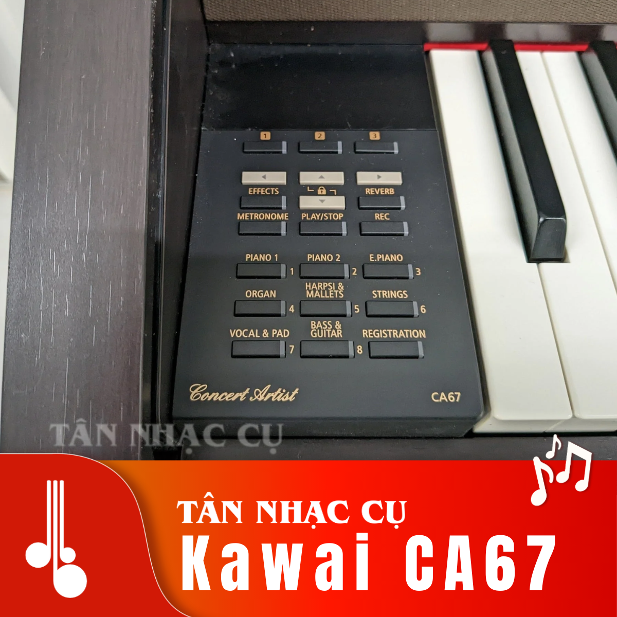 Kawai CA67