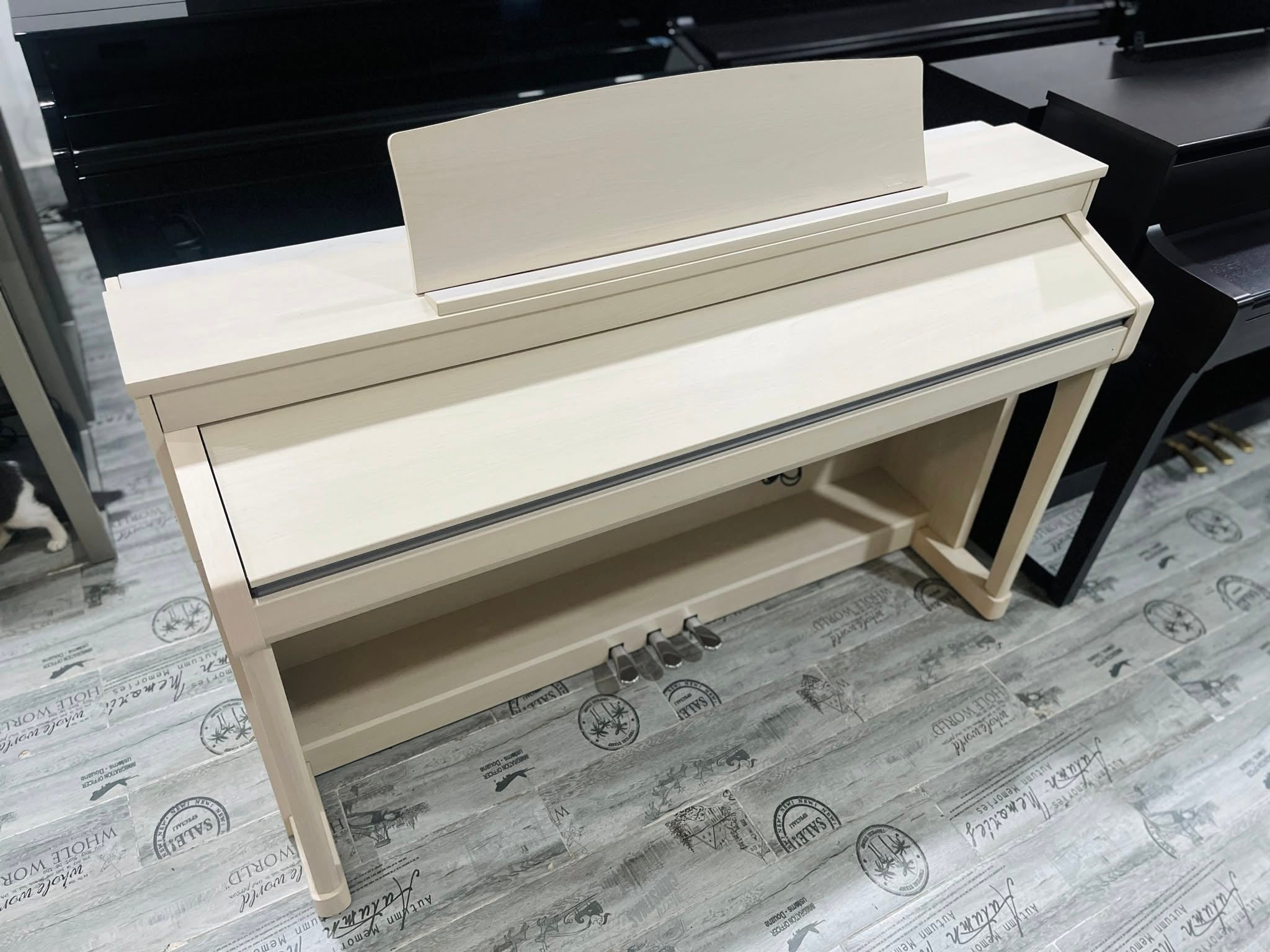 Đàn Piano Điện Kawai CA67