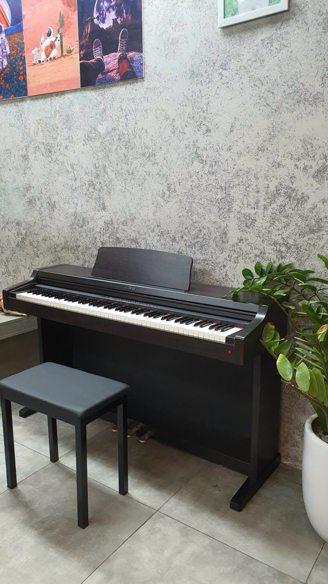 Đàn Piano Điện Kawai PN270
