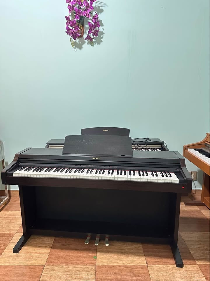 Đàn Piano Điện Kawai PN270
