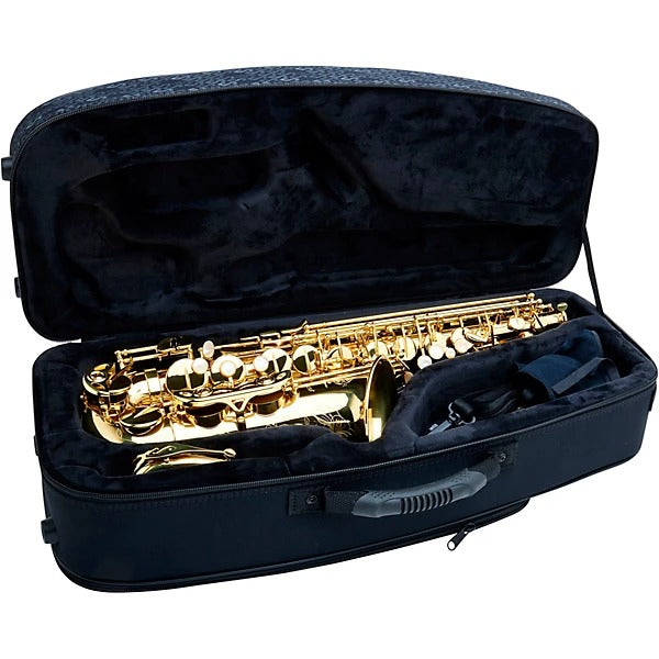 Kèn Saxophone Alto Henri Selmer Paris SeleS AXOS Series