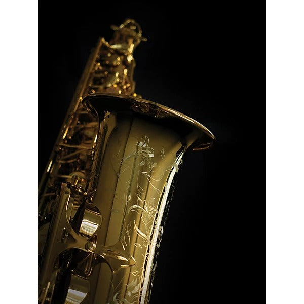 Kèn Saxophone Alto Henri Selmer Paris Series III Model 62 Jubilee Edition, 62JGP, Gold Plated