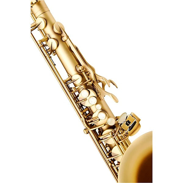 Kèn Saxophone Tenor Henri Selmer Paris Reference 54