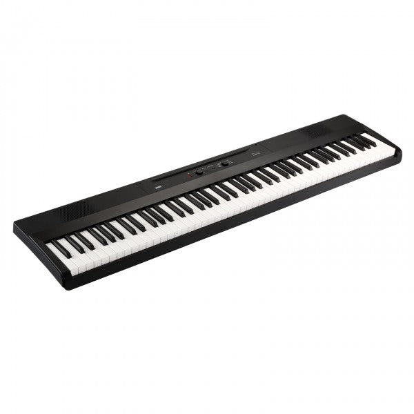 Đàn Piano Điện Korg Liano L1
