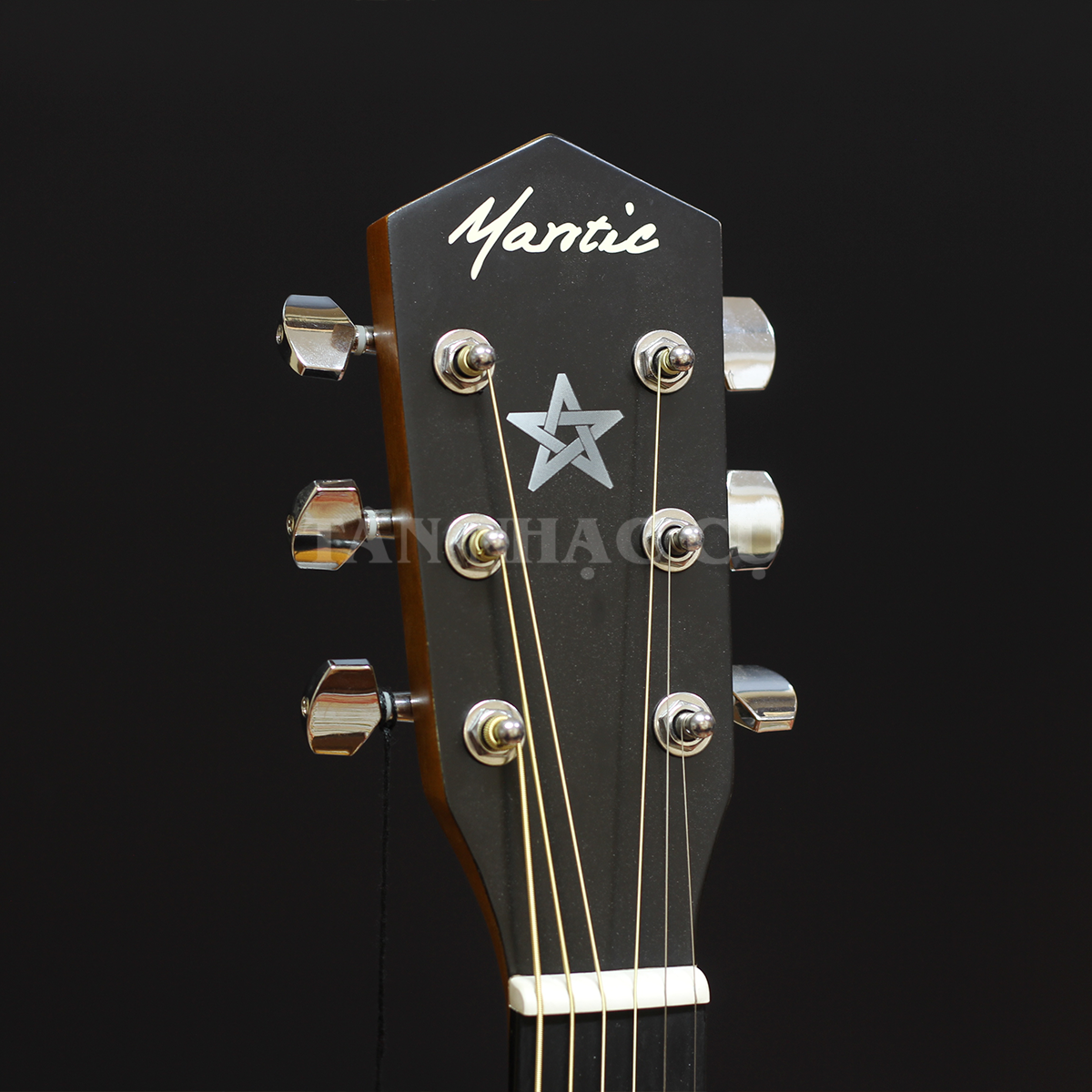 Đàn Guitar Acoustic Mantic GT1DCE