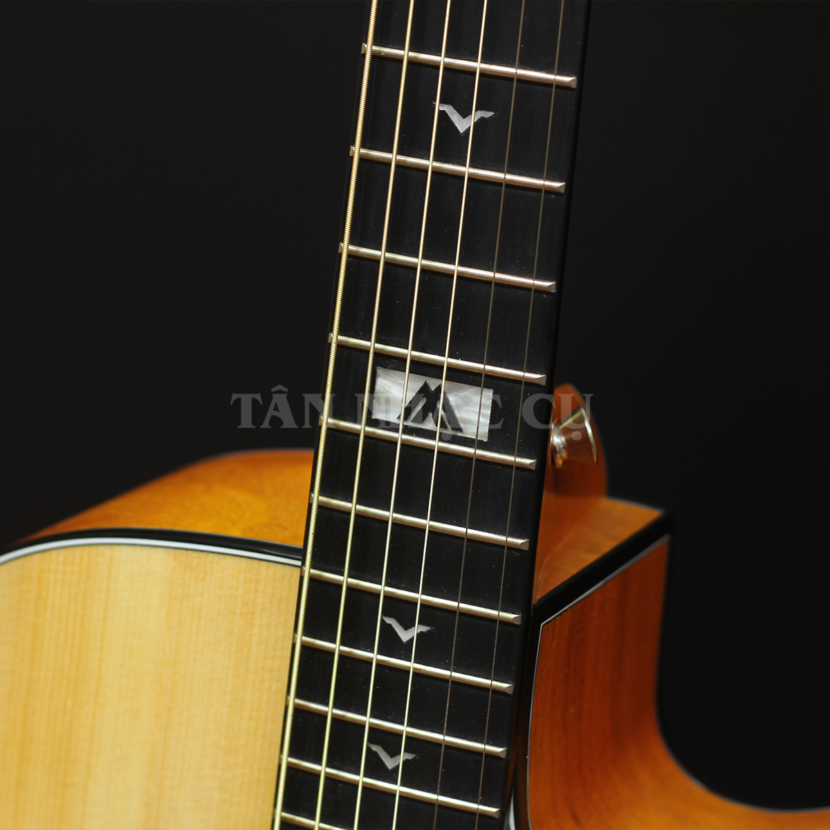 Đàn Guitar Acoustic Mantic GT1DCE