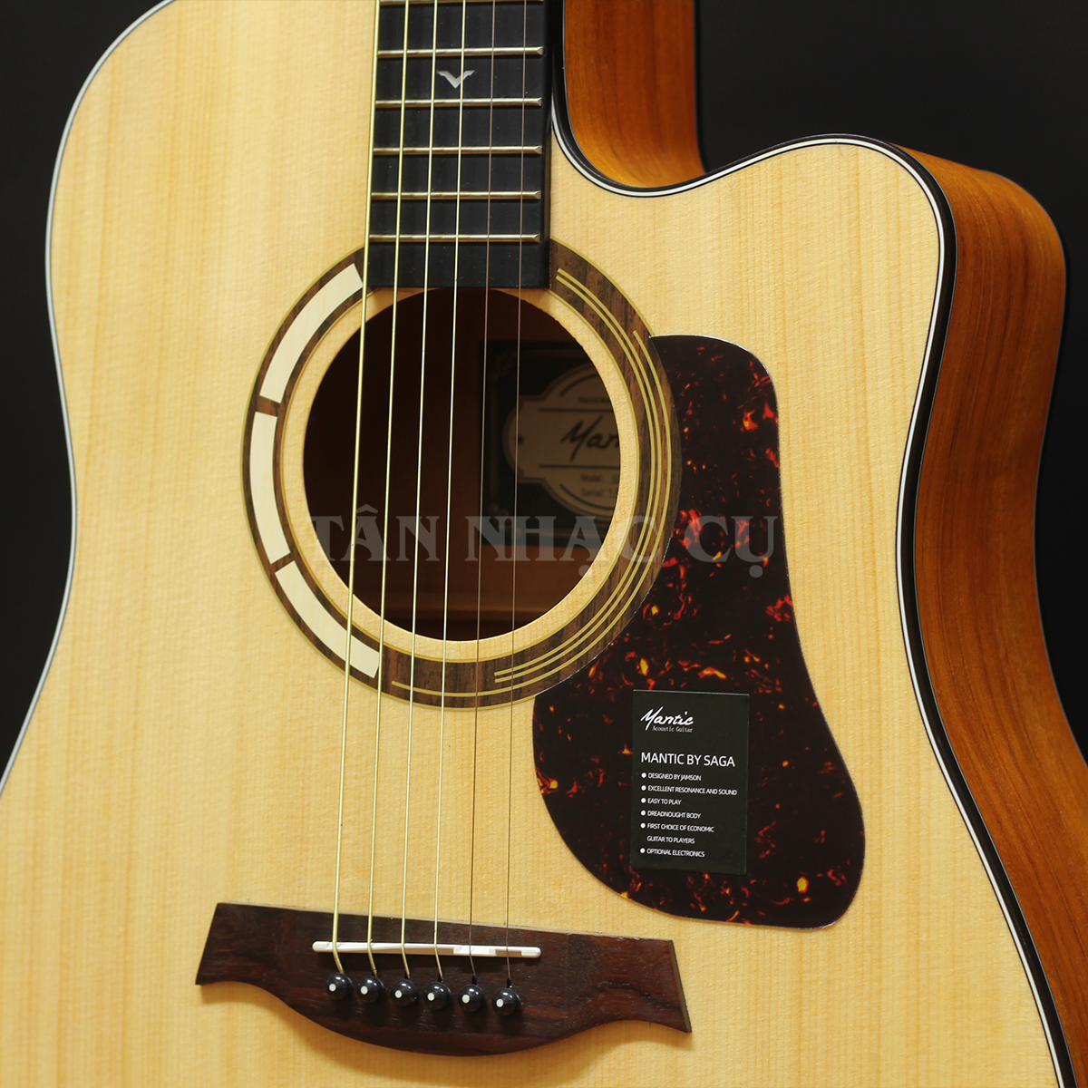 Đàn Guitar Acoustic Mantic GT1DCE