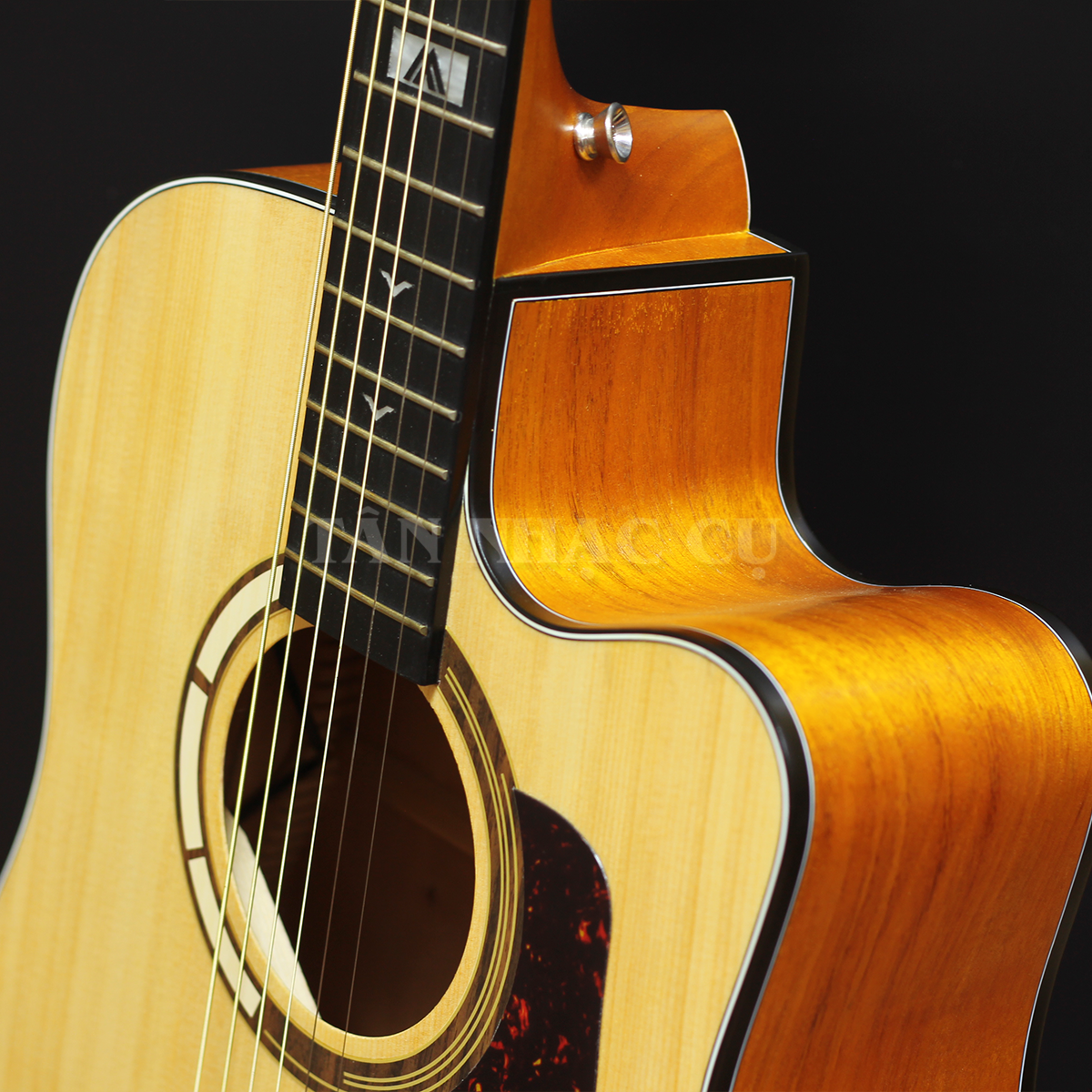 Đàn Guitar Acoustic Mantic GT1DCE