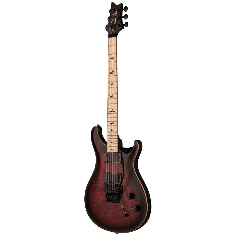 Đàn Guitar Điện PRS DW CE 24 Floyd