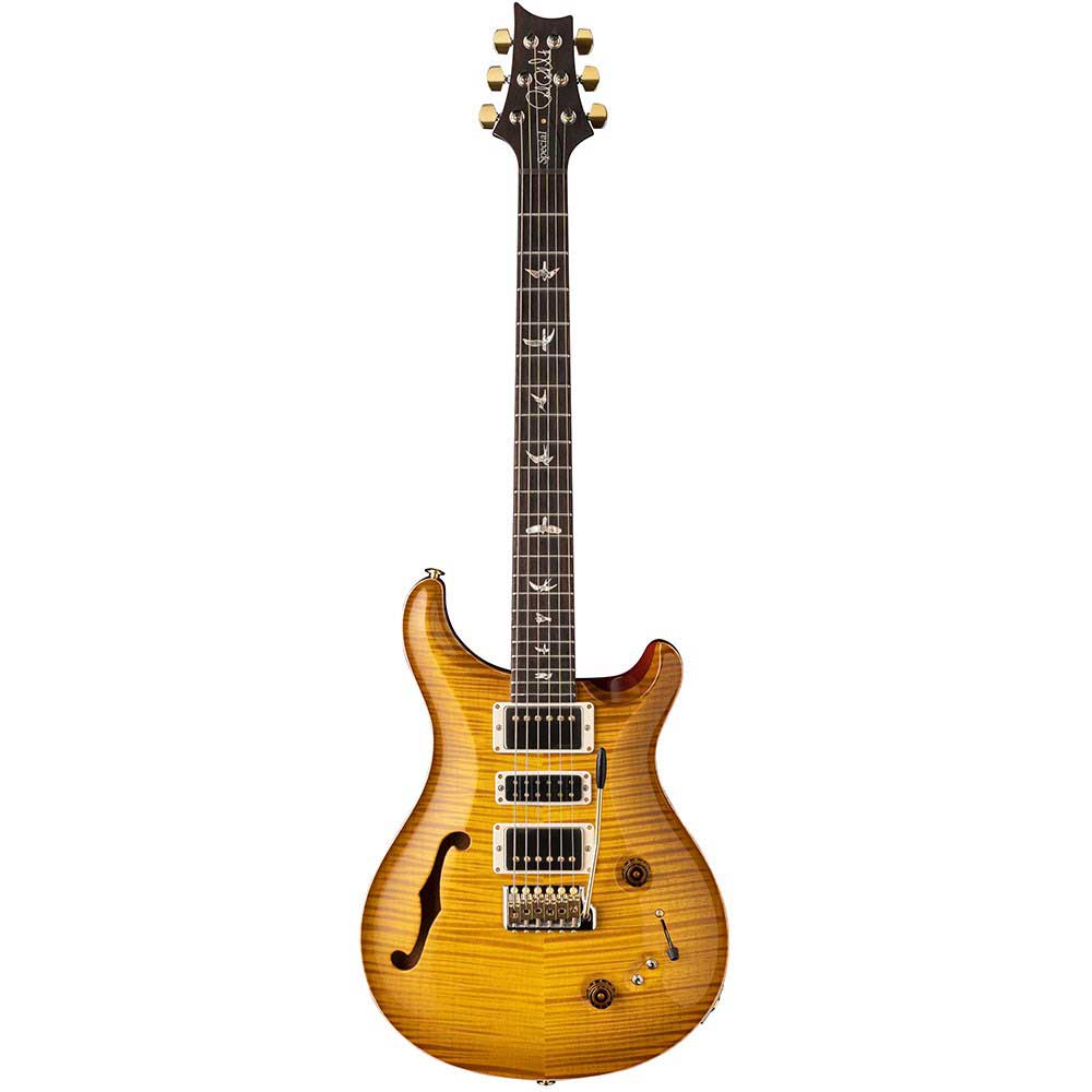 Đàn Guitar Điện PRS Special Semi Hollow