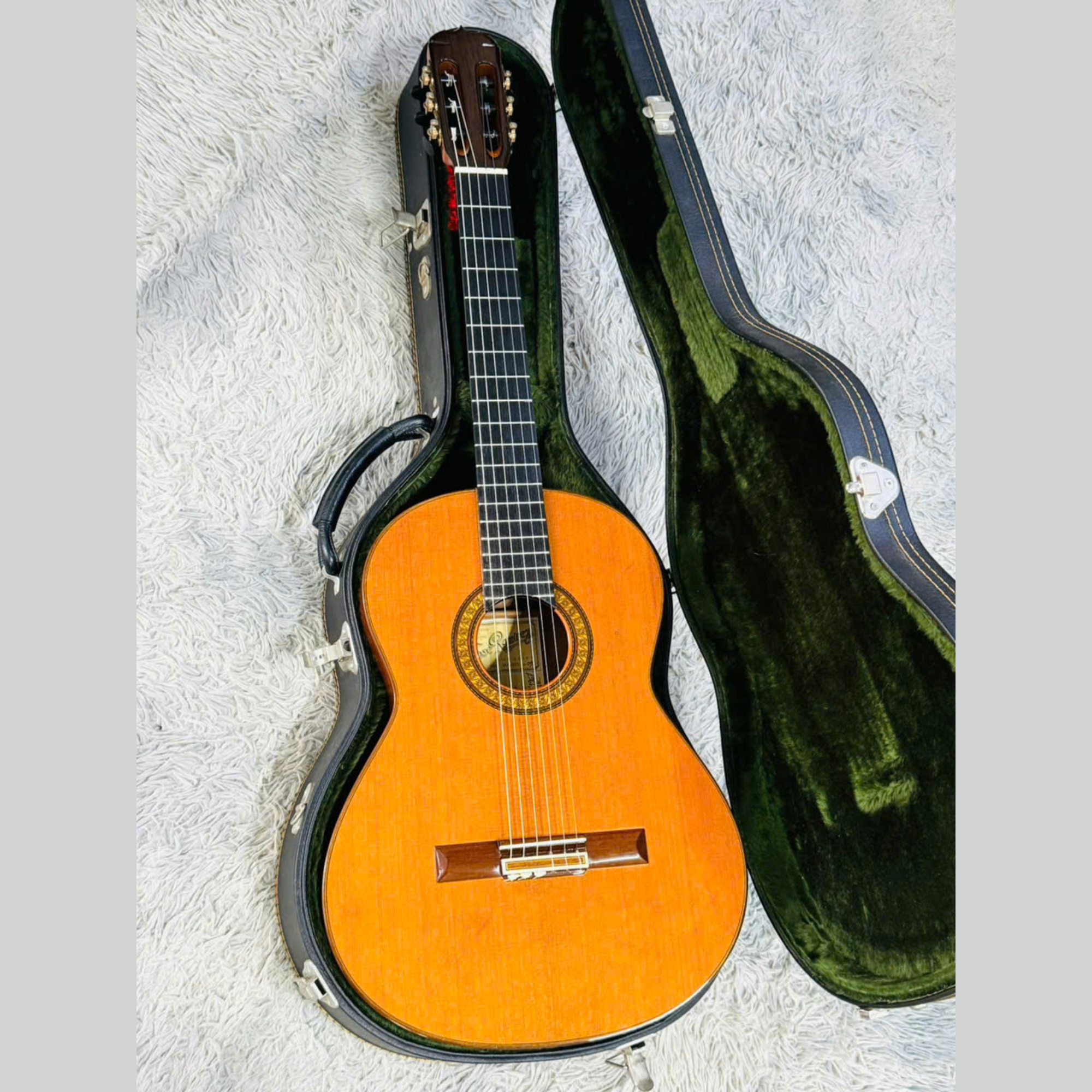 Ramirez 1A 2009