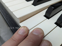 Đàn Piano Điện Roland HP601