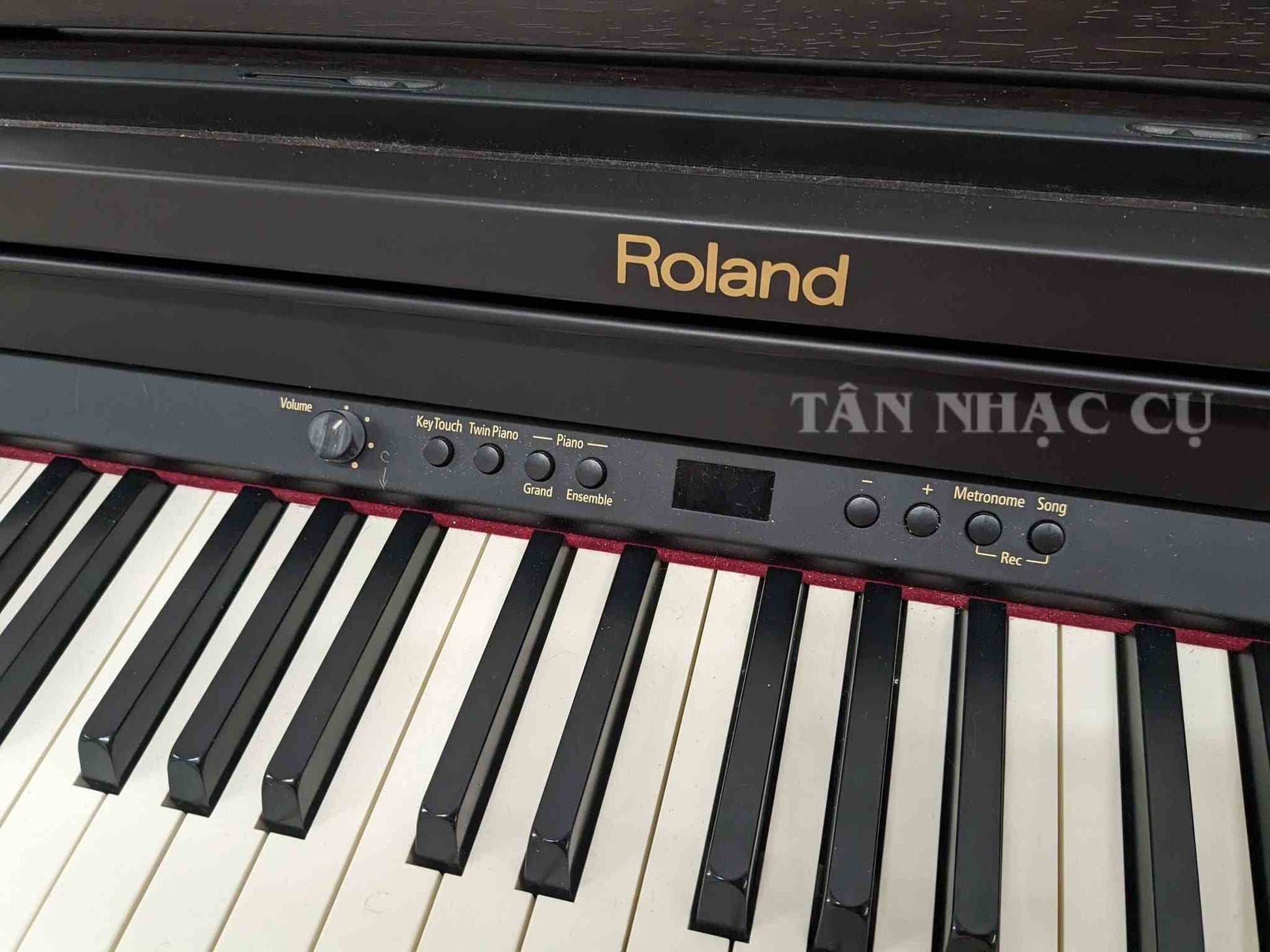 Roland RP301