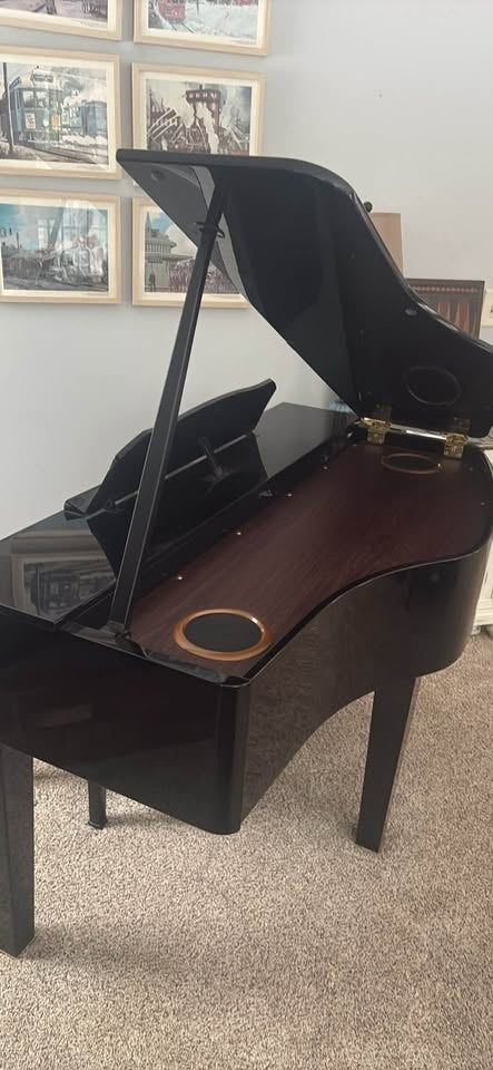 Đàn Grand Piano Điện Roland GP607 - Used