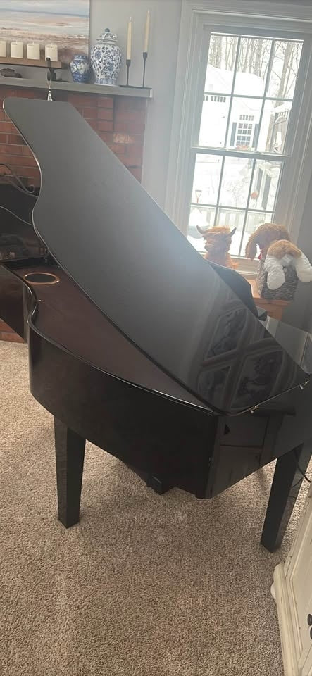Đàn Grand Piano Điện Roland GP607 - Used