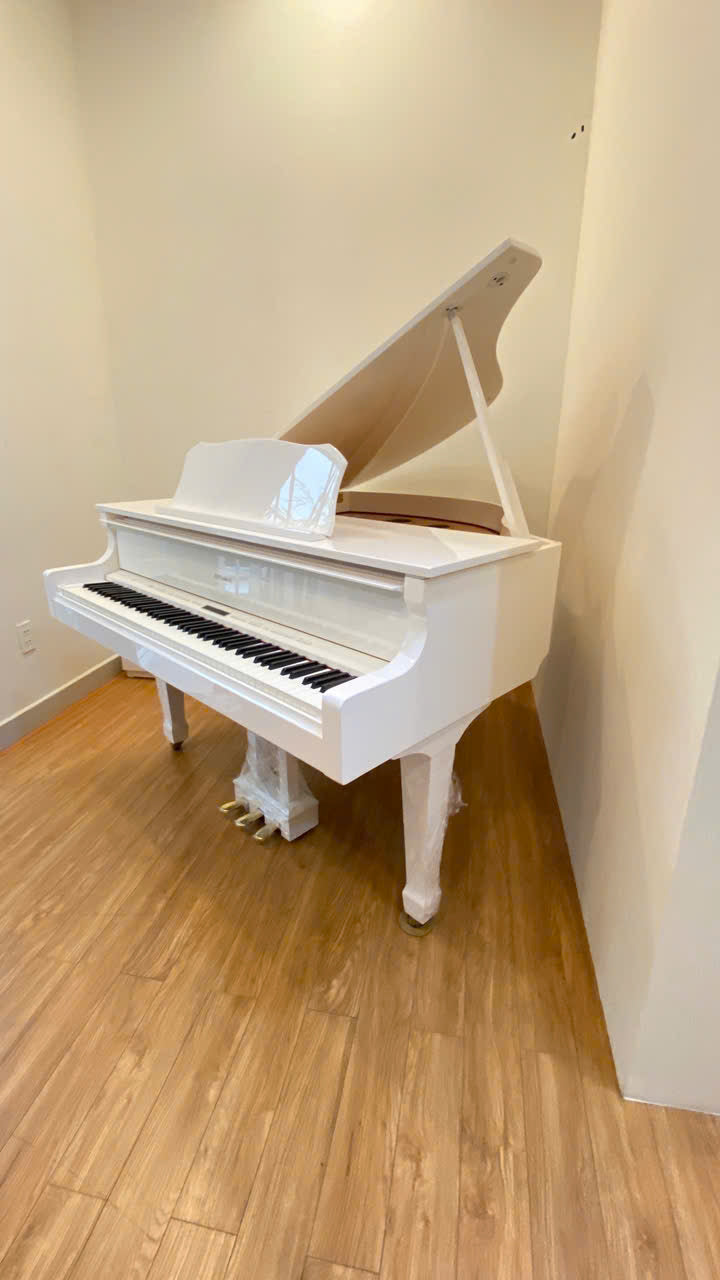 Đàn Grand Piano Roland GP609